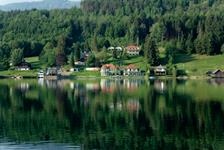 Järveäärsed villad