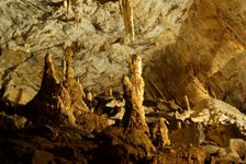 Stalagmiidid