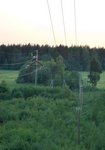 Elektriliinid