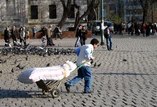 Kärumees