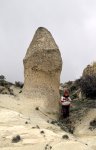 Haldjakoonus