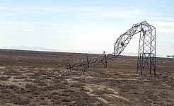 Linnugripis mast